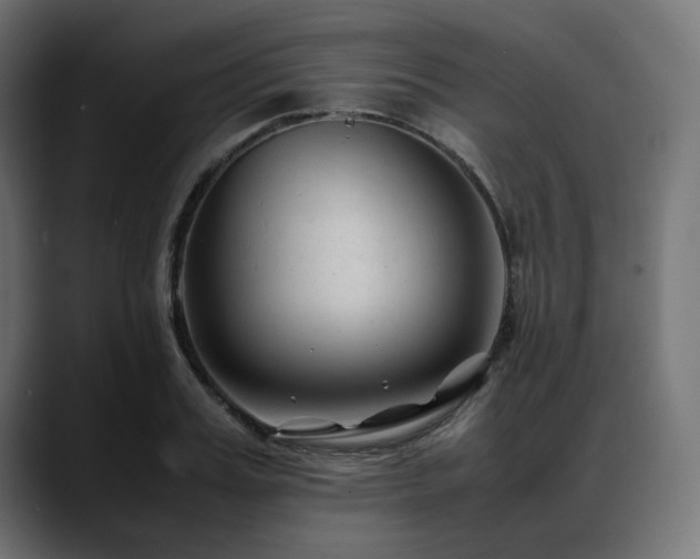X0000088620987200705251238