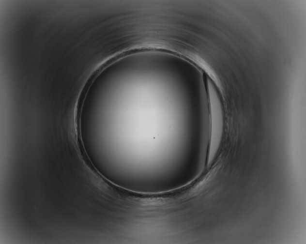 X0000088620988200705251238