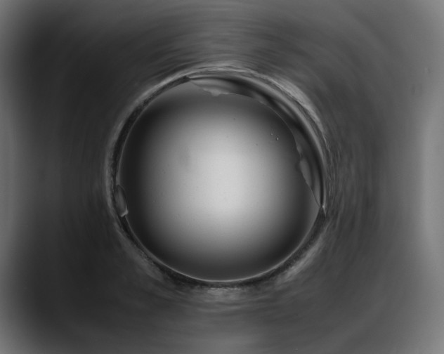 X0000088620989200705251237
