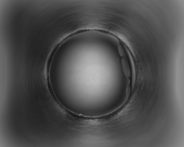 X0000088620990200705251237