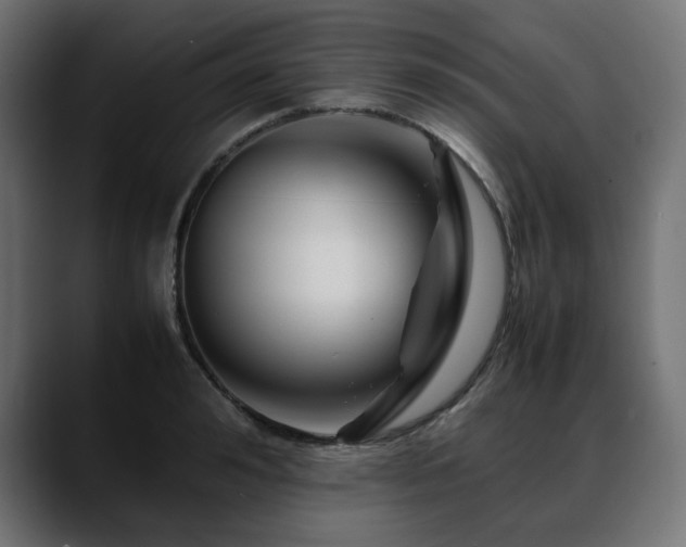 X0000088620992200705251237