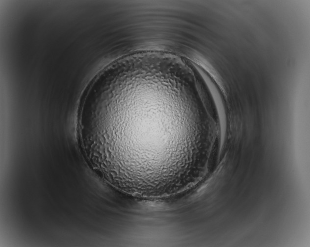 X0000088620994200705251237