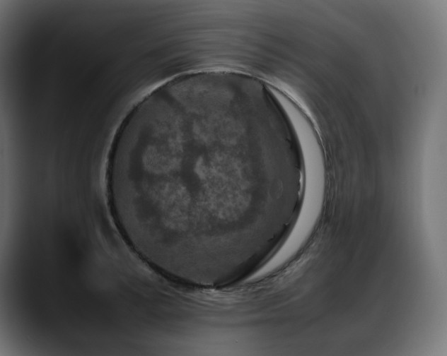 X0000088620995200705251237