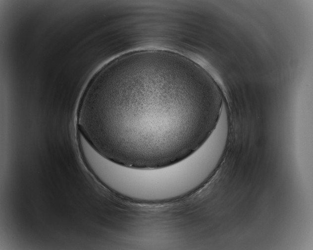 X0000088620996200705251237
