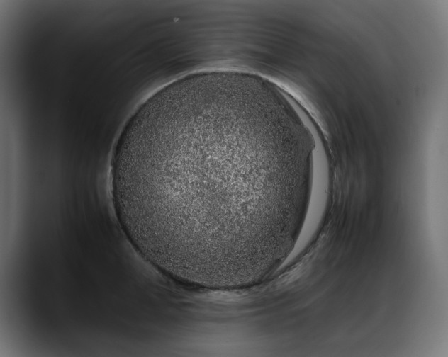 X0000088620998200705251237