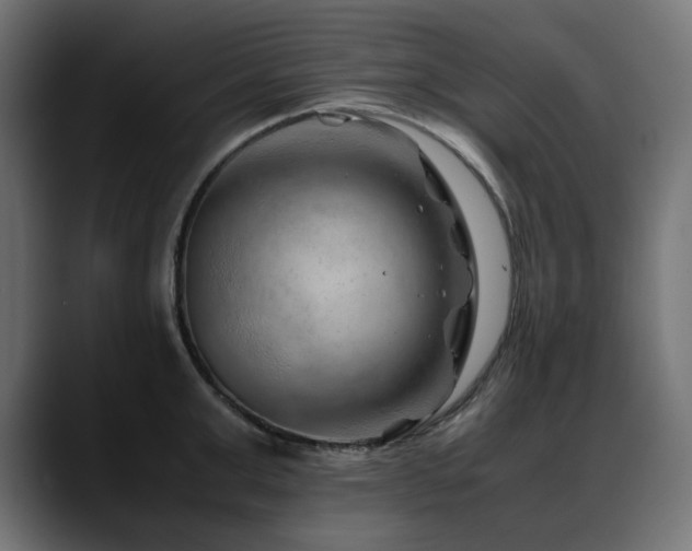 X0000088620999200705251237