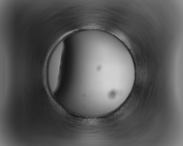 X0000088621000200705251237