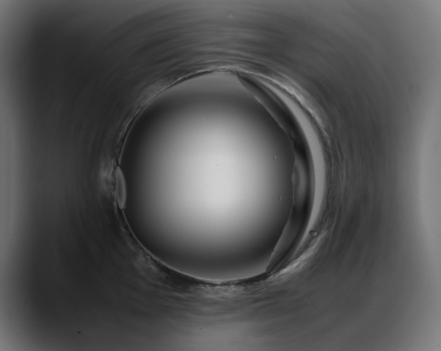 X0000088621001200705251237