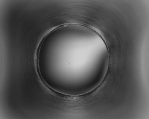 X0000088621003200705251237