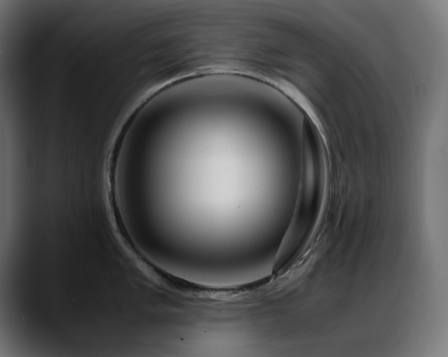 X0000088621005200705251237
