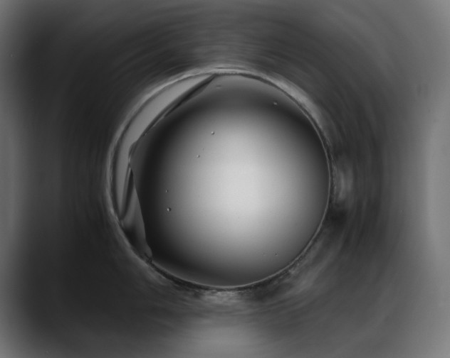 X0000088621006200705251237