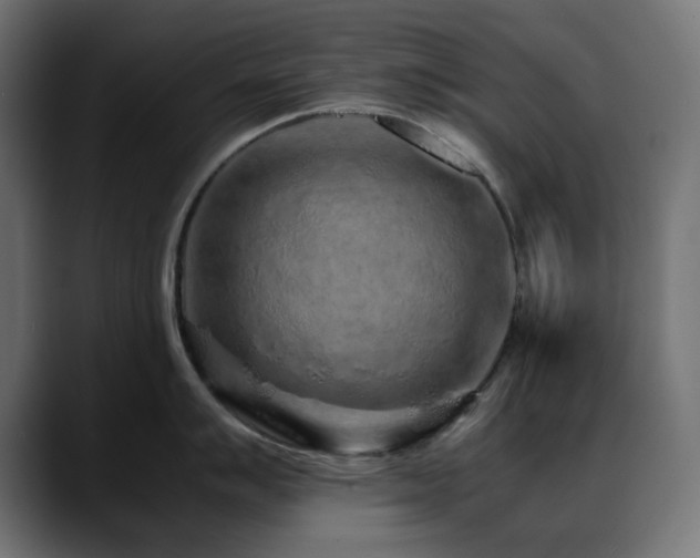 X0000088621007200705251237