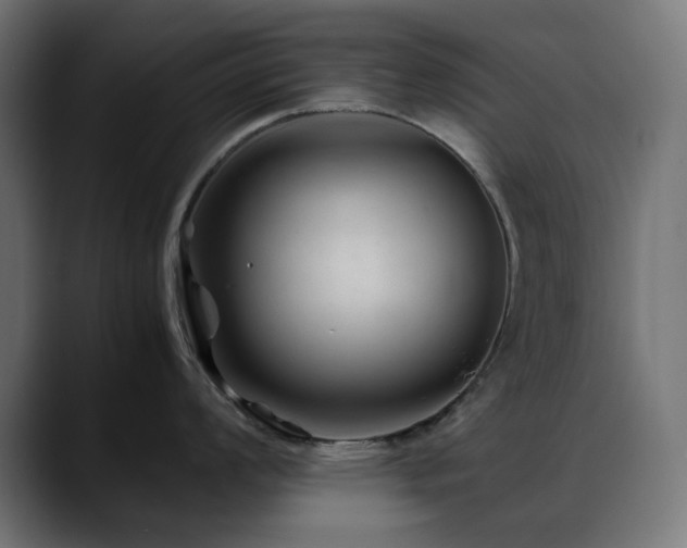 X0000088621008200705251237