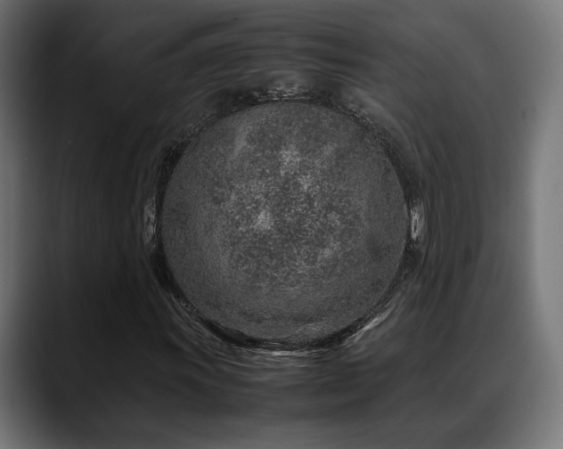 X0000088621011200705251237
