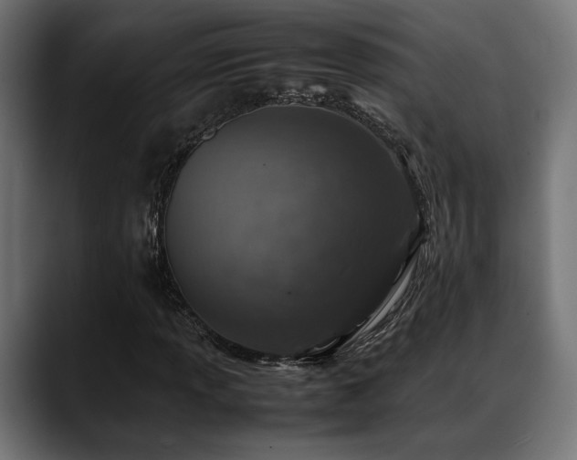 X0000088621013200705251237