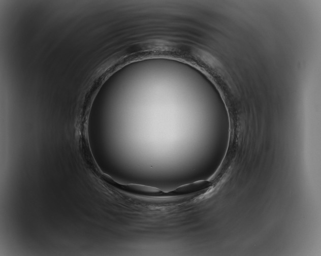 X0000088621017200705251237