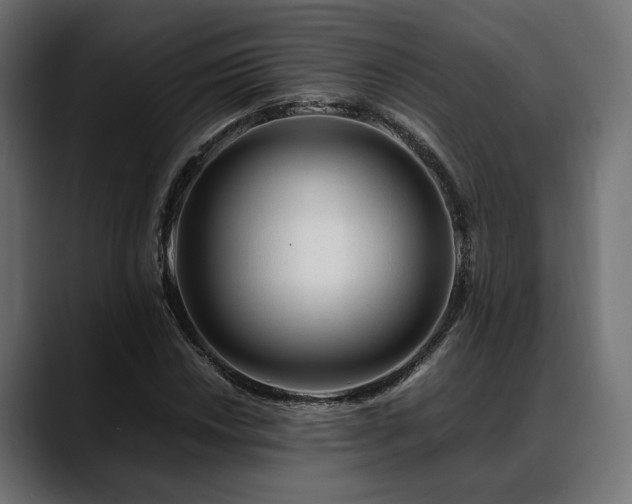 X0000088621018200705251237