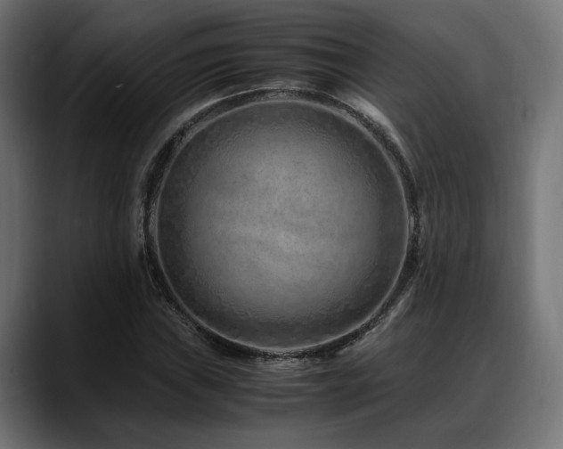X0000088621019200705251237