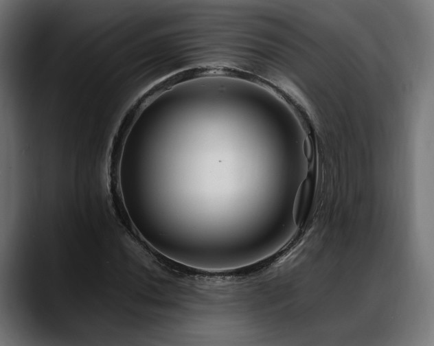 X0000088621020200705251237