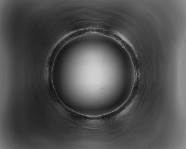 X0000088621021200705251237