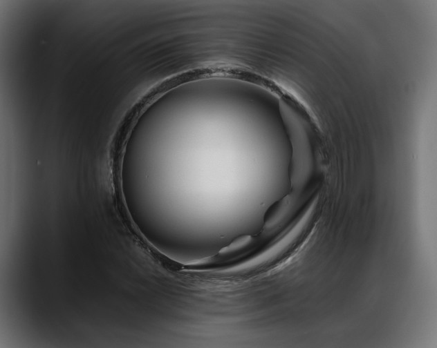 X0000088621022200705251237