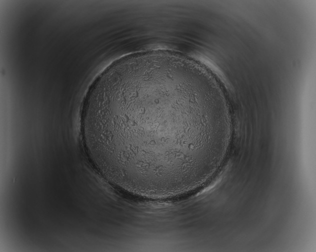 X0000088621023200705251237
