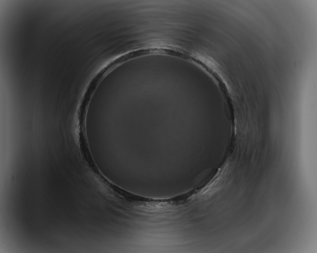 X0000088621024200705251237