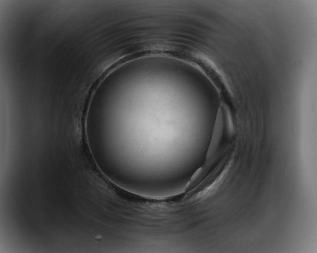 X0000088621025200705251237
