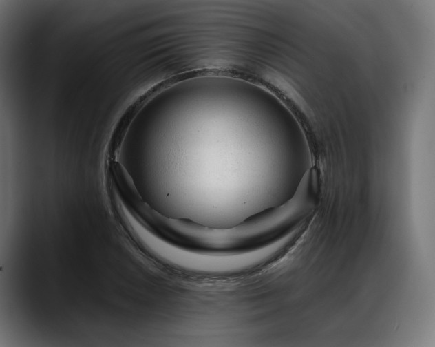 X0000088621026200705251237