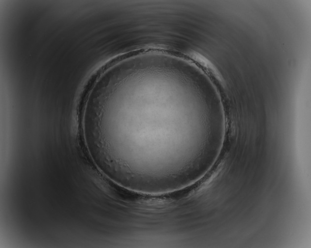 X0000088621027200705251237