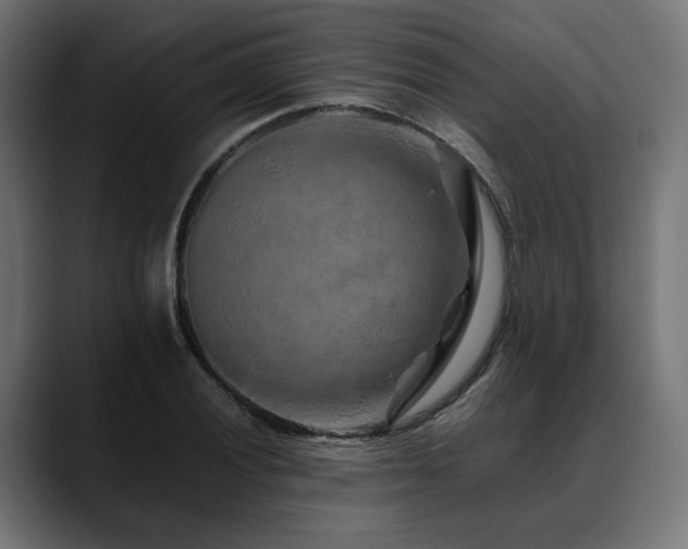 X0000088621028200705251237