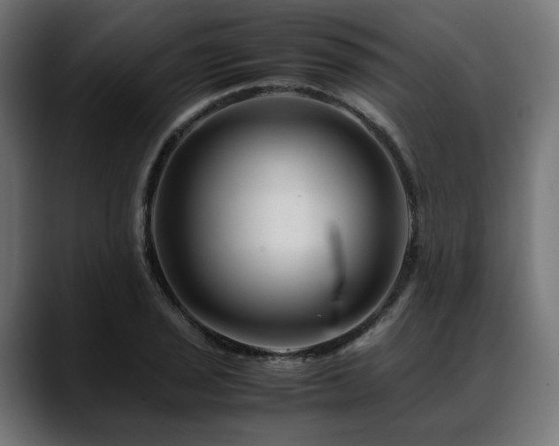 X0000088621029200705251237