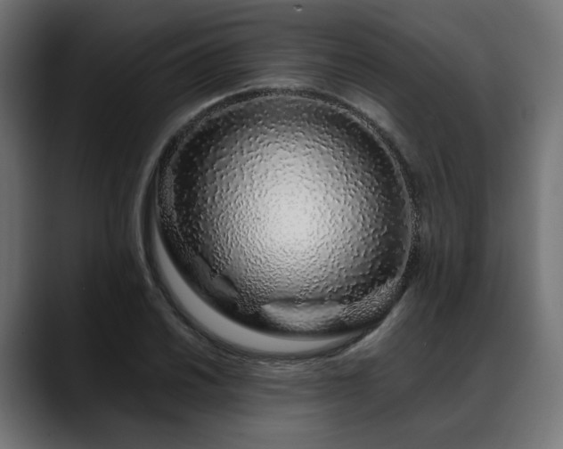 X0000088621030200705251237