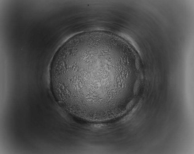 X0000088621031200705251237