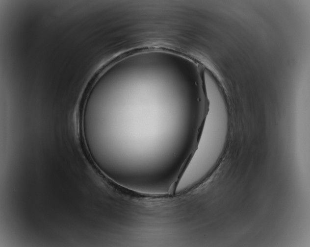 X0000088621032200705251237