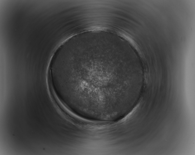 X0000088621034200705251237
