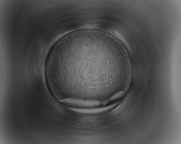 X0000088621035200705251237