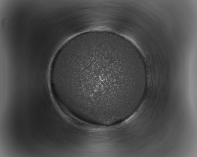X0000088621038200705251237