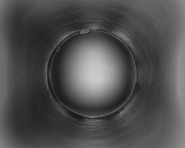 X0000088621039200705251237