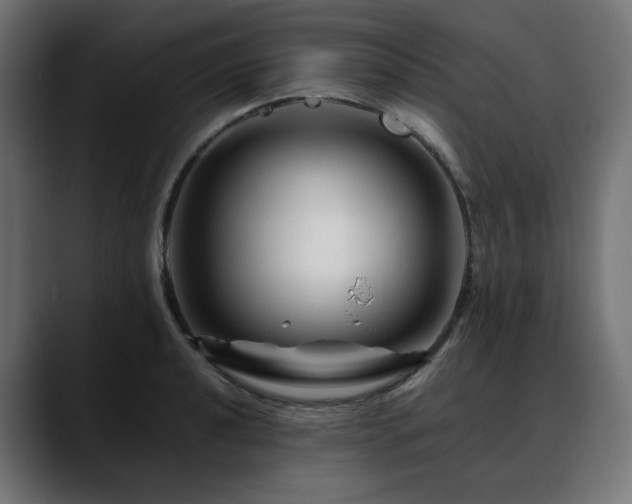 X0000088621040200705251237