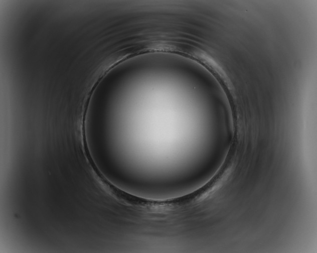X0000088621041200705251237