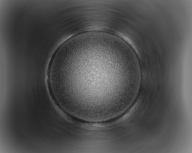 X0000088621042200705251237