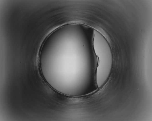 X0000088621044200705251237