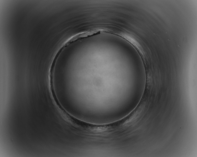 X0000088621047200705251237