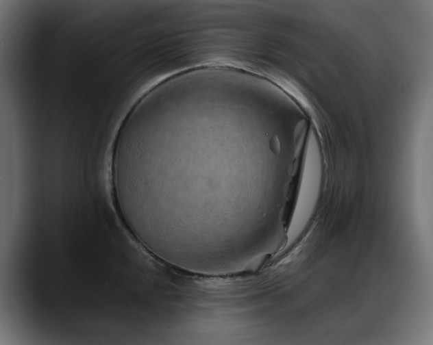 X0000088621048200705251237