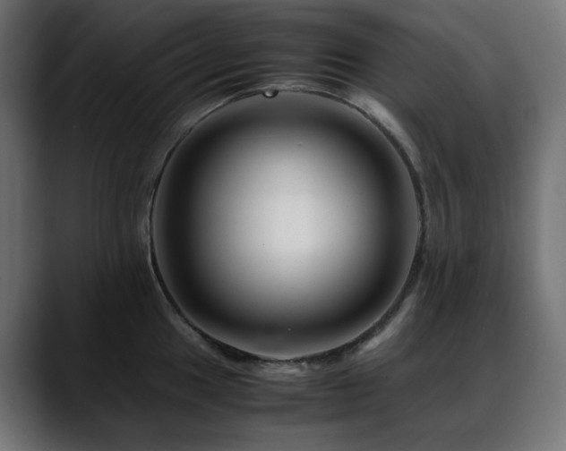 X0000088621049200705251237