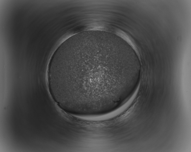 X0000088621050200705251237
