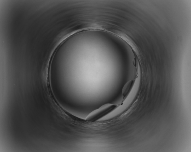 X0000088621052200705251237