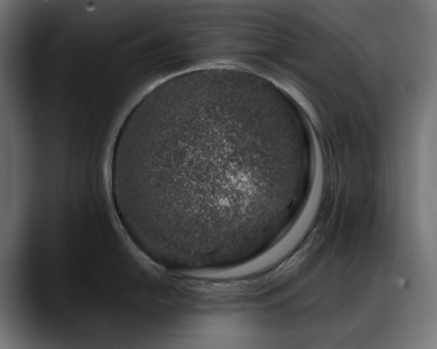 X0000088621054200705251237