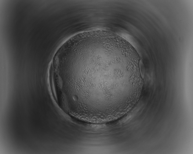 X0000088621055200705251237